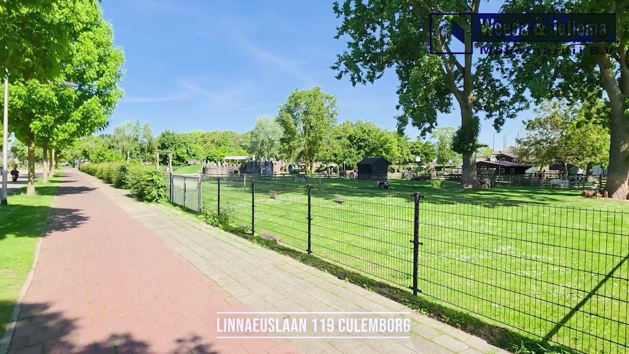 Video van Linnaeuslaan 119