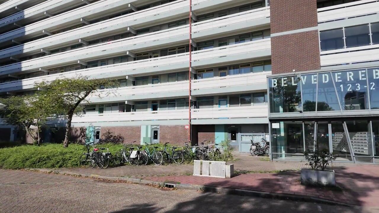 Video van Belvédèrebos 243