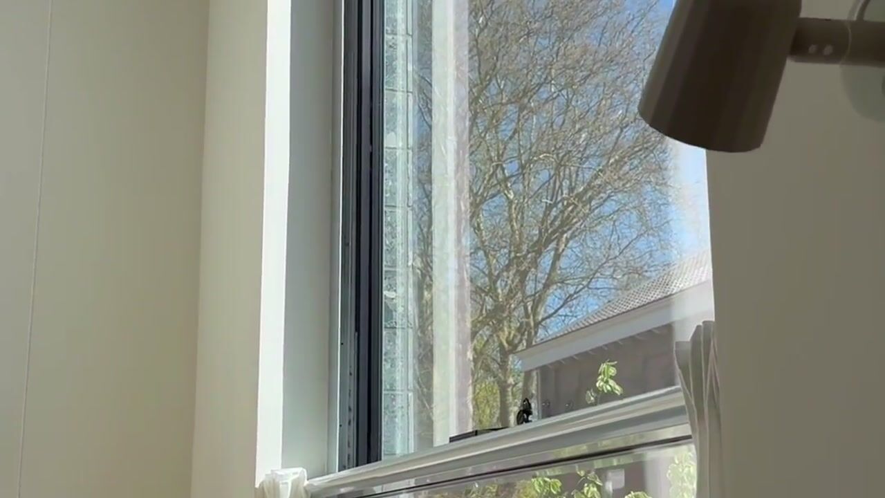 Video van Bromwissel 23