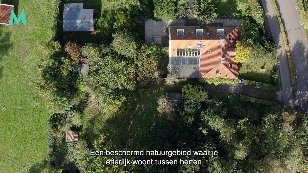 Video van Duinlustweg 42