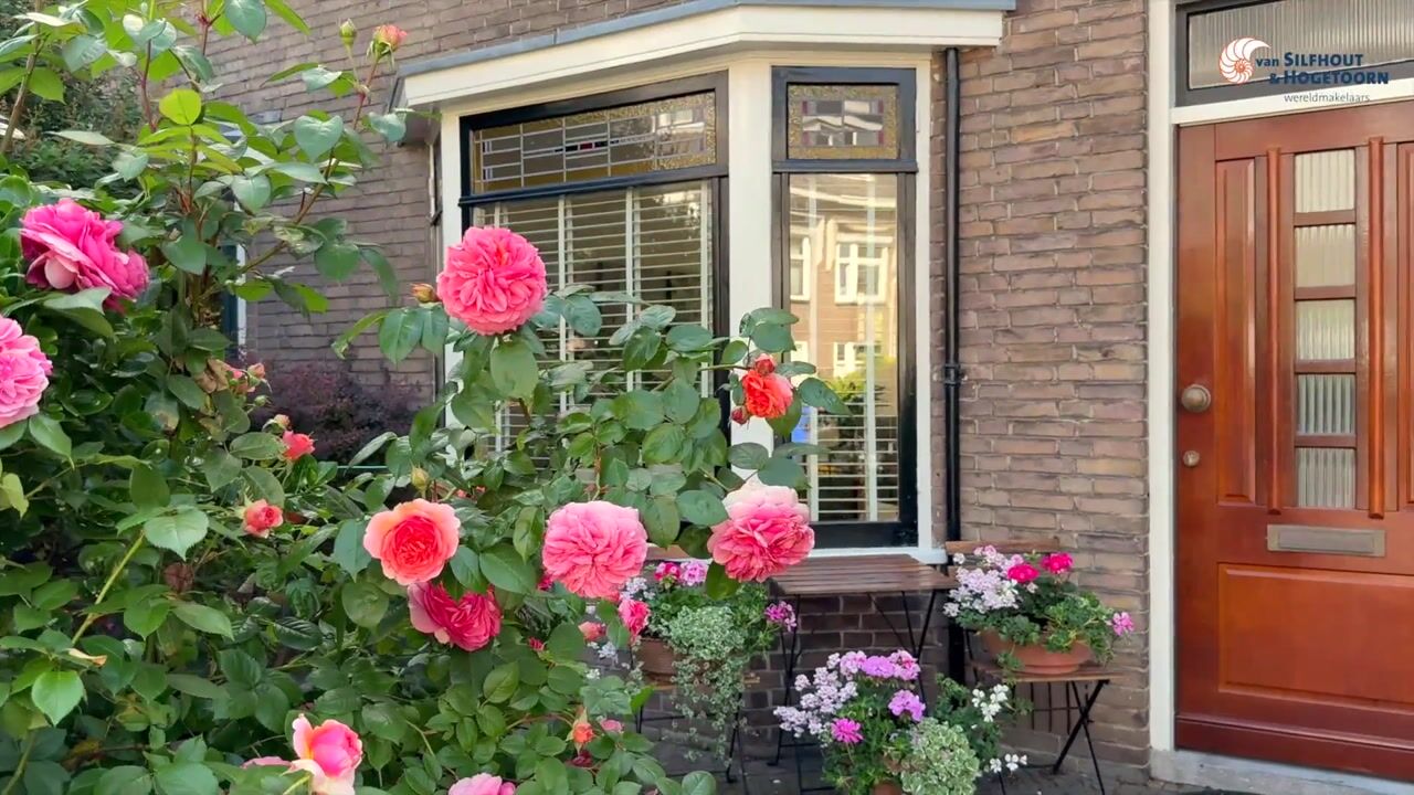 Video van Ternatestraat 14