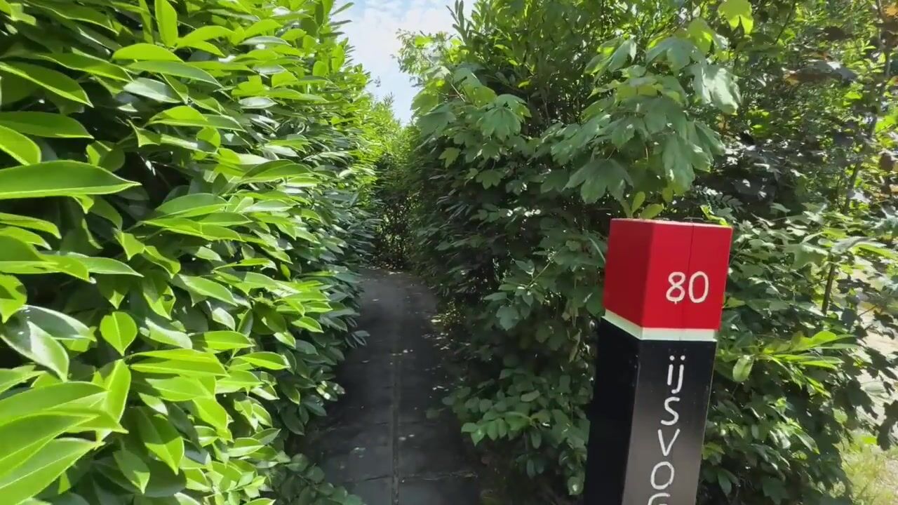 Video of Rijspolder 80