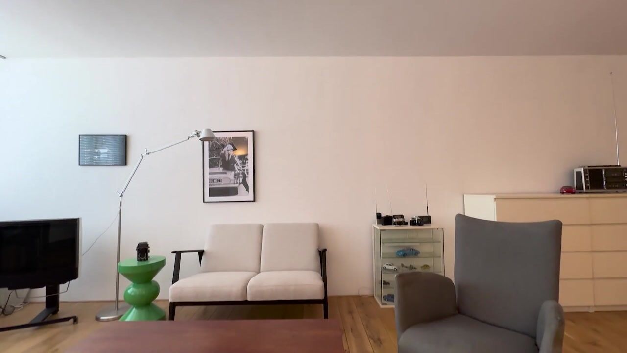 Video van Dillenburgstraat 12