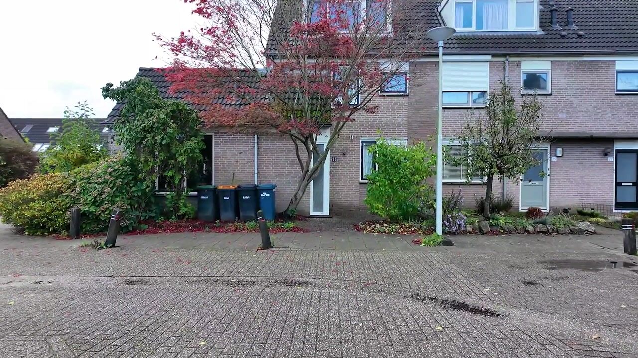 Video of Sijpesteijn 23