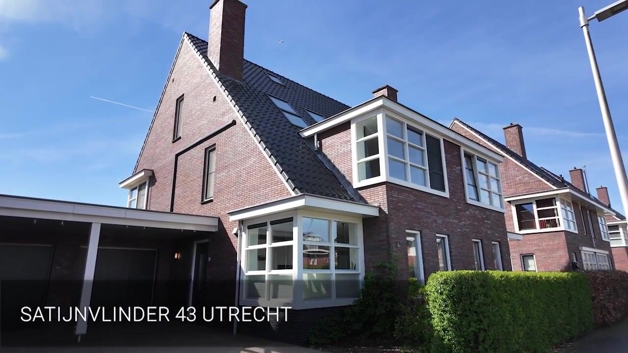 Video of Satijnvlinder 43