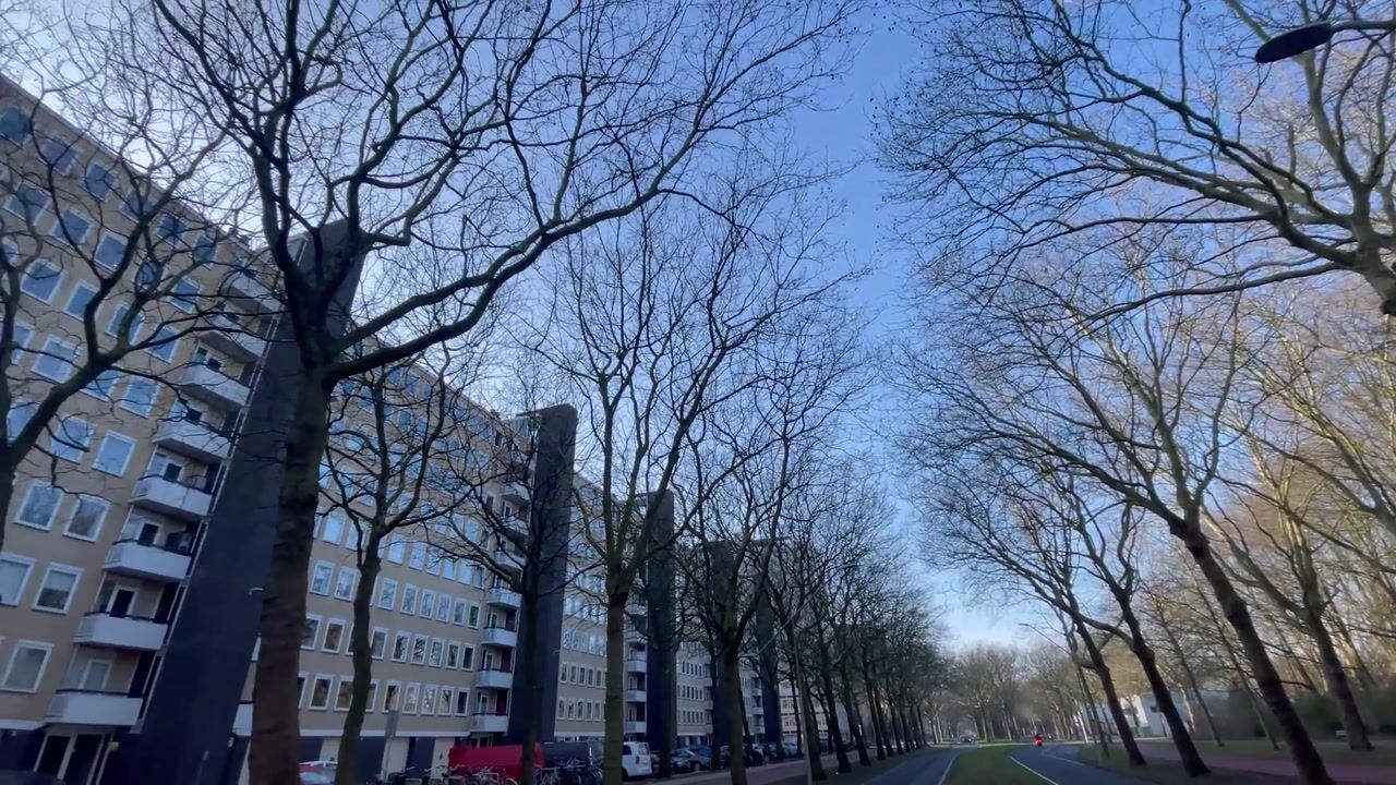 Video of Van Nijenrodeweg 35