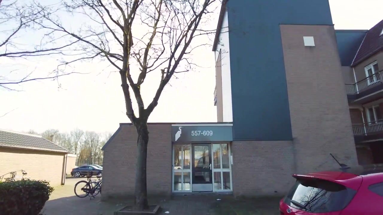 Video of Reigerskamp 565