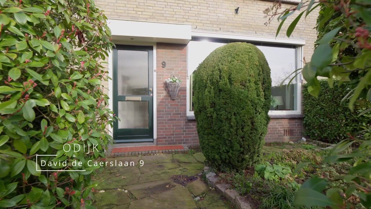 Video of David de Caerslaan 9