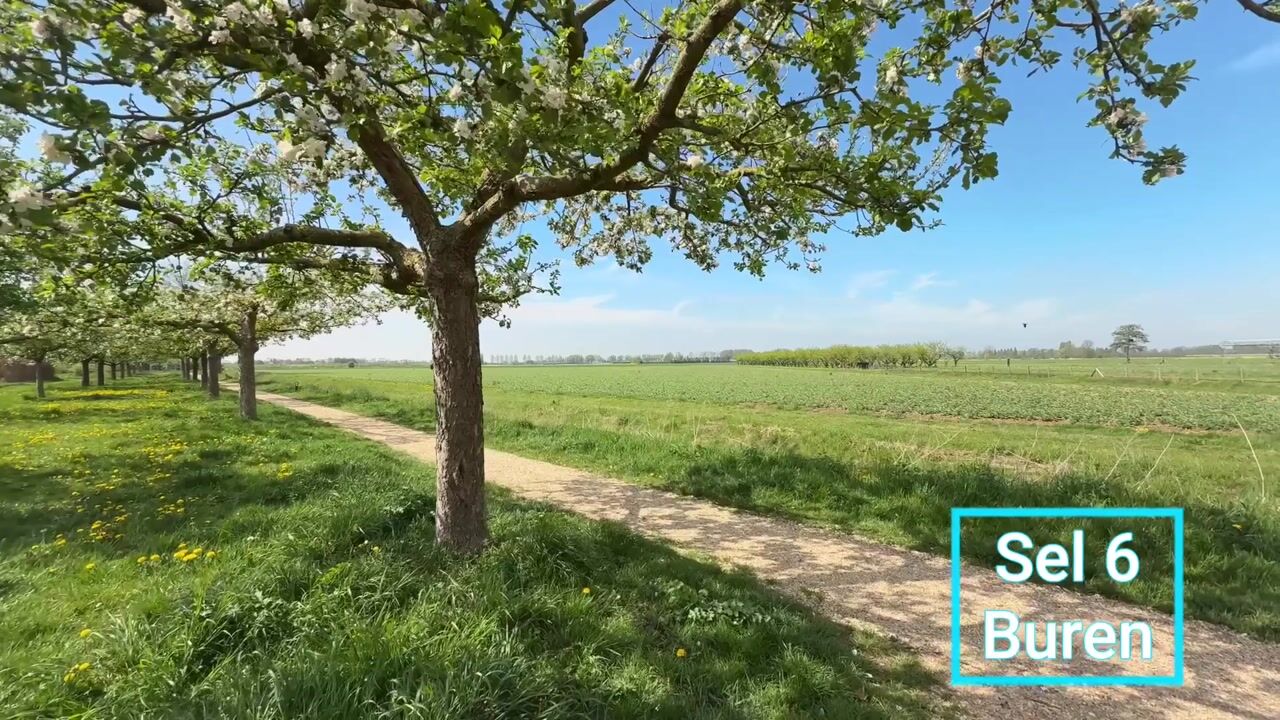 Video van Sel 6