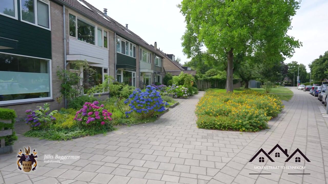 Video van Molenstraat 113