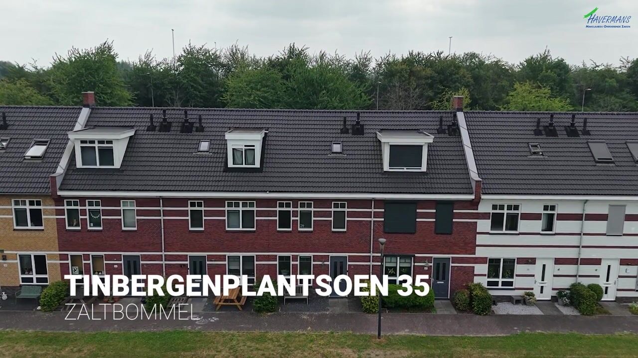 Video van Tinbergenplantsoen 35