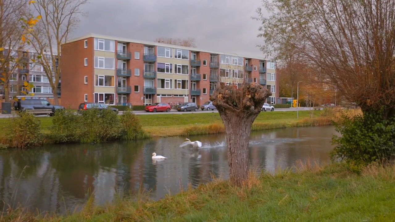 Video of Douwelerwetering 63
