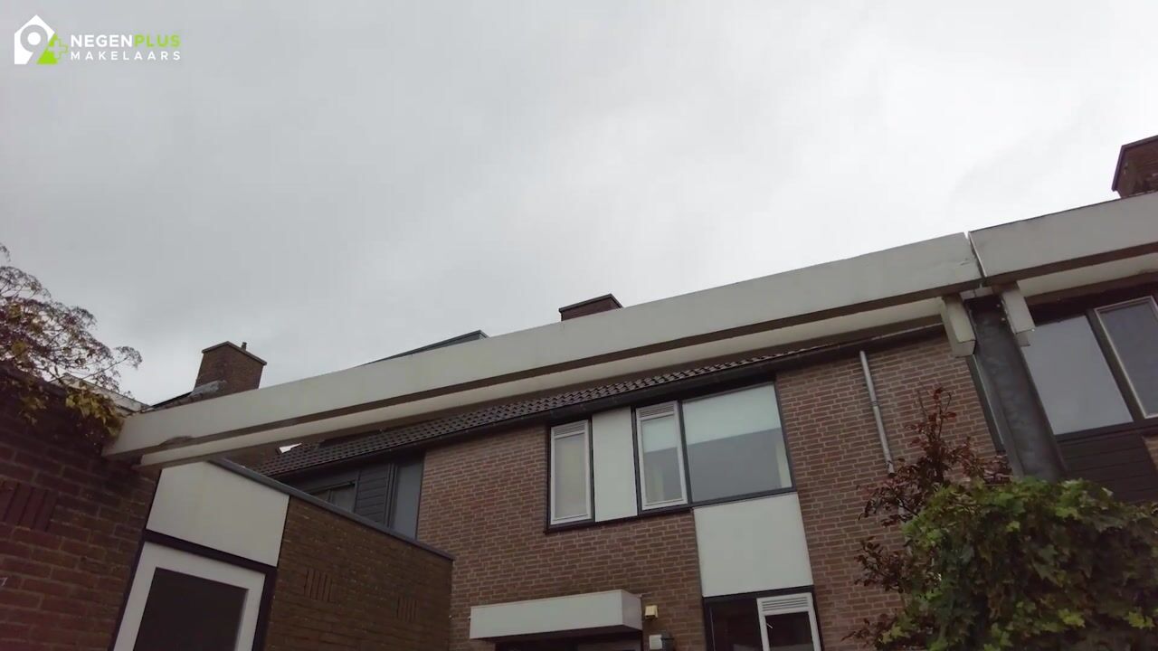 Video of Argusvlinder 10