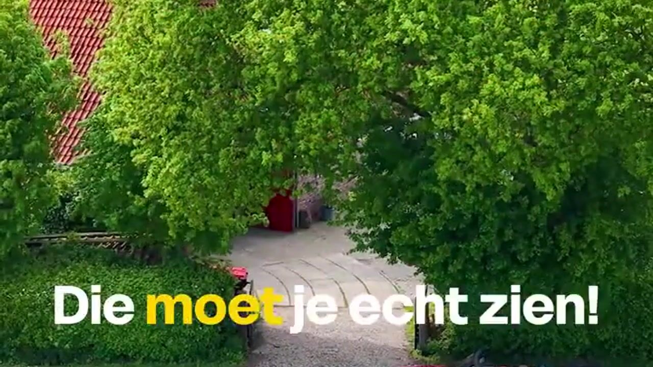 Video van Yndyk 2