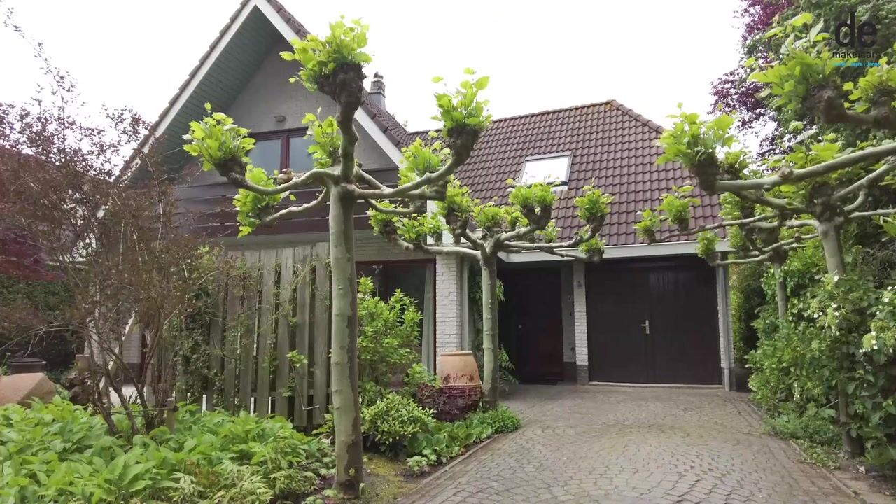 Video of Behrenslijn 15