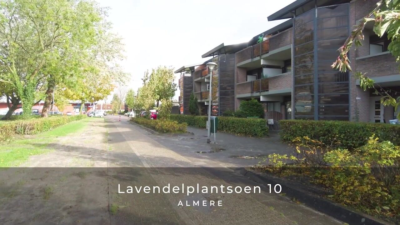 Video van Lavendelplantsoen 10