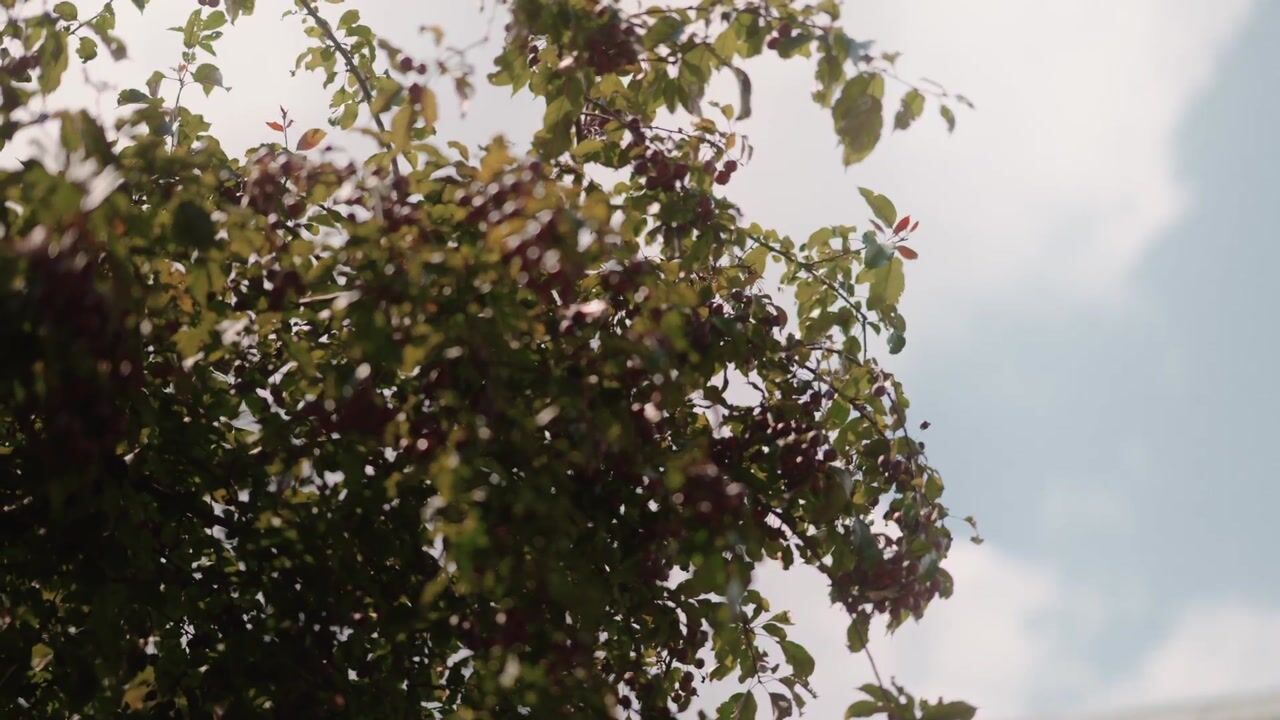 Video van Rochussenstraat 33-C