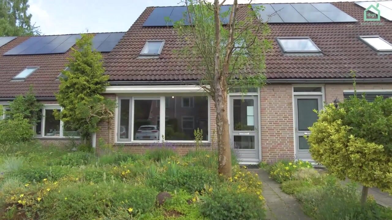 Video van Bonte salie 29