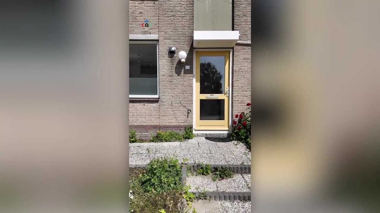 Video van Freule van Dorthsingel 73