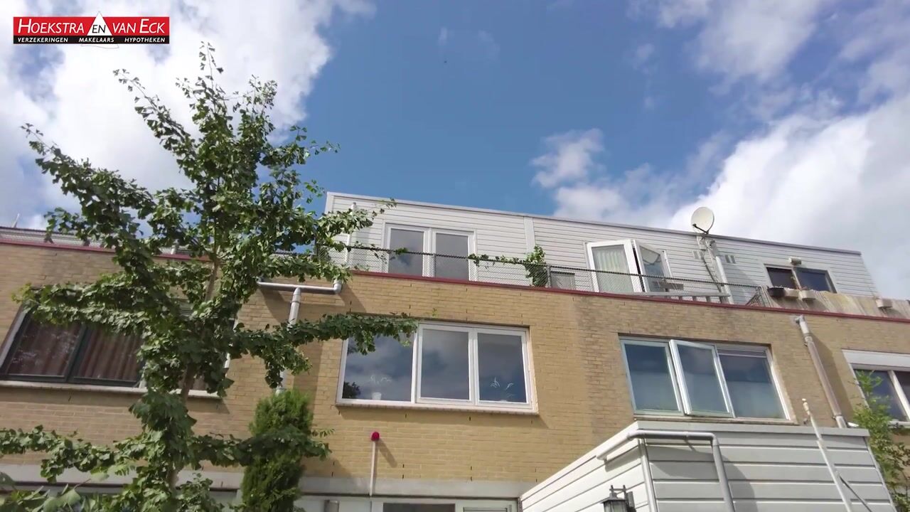 Video van Bultrugpad 37