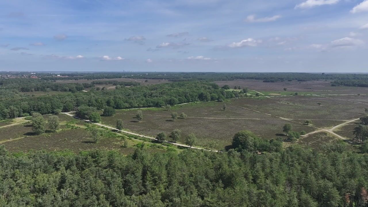 Video van Erfgooiersstraat 615