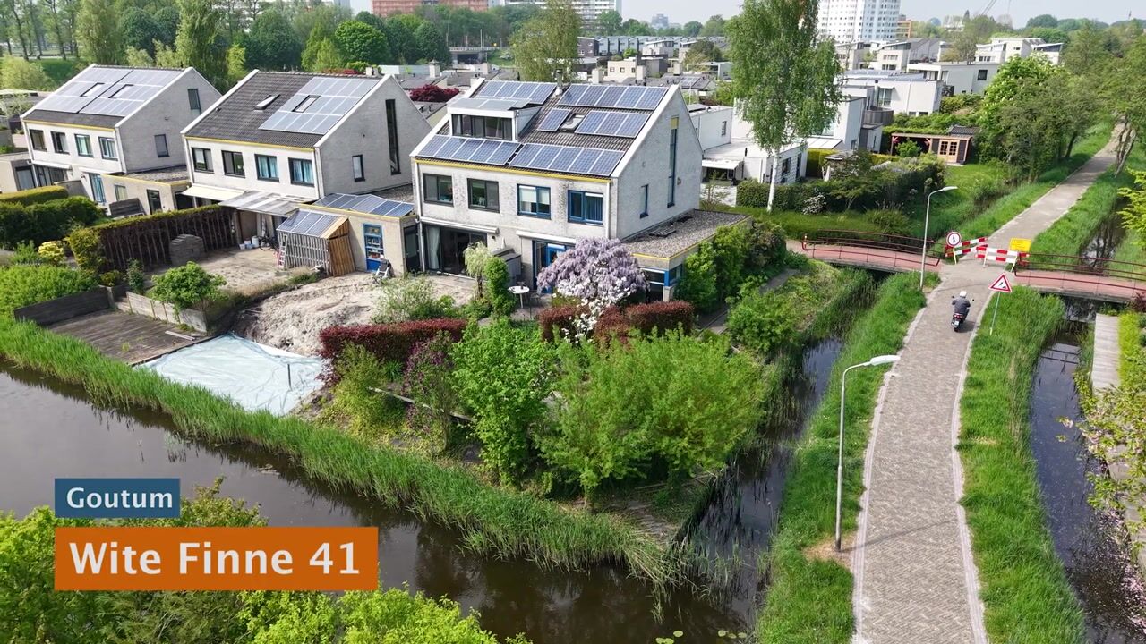 Video of Wite Finne 41