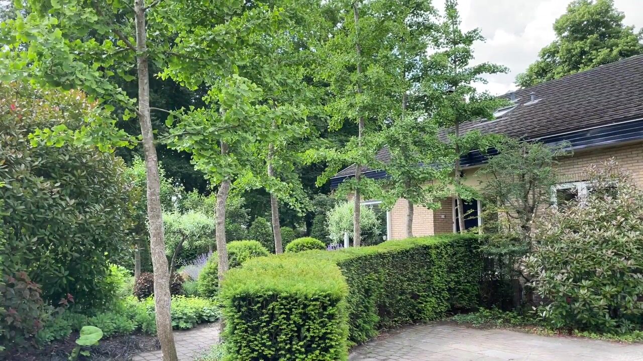 Video of Molitorstraat 3