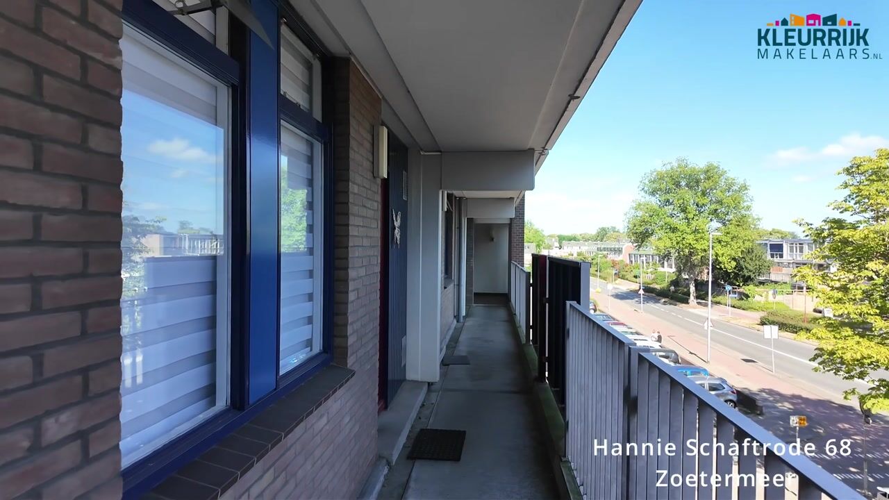 Video of Hannie Schaftrode 68