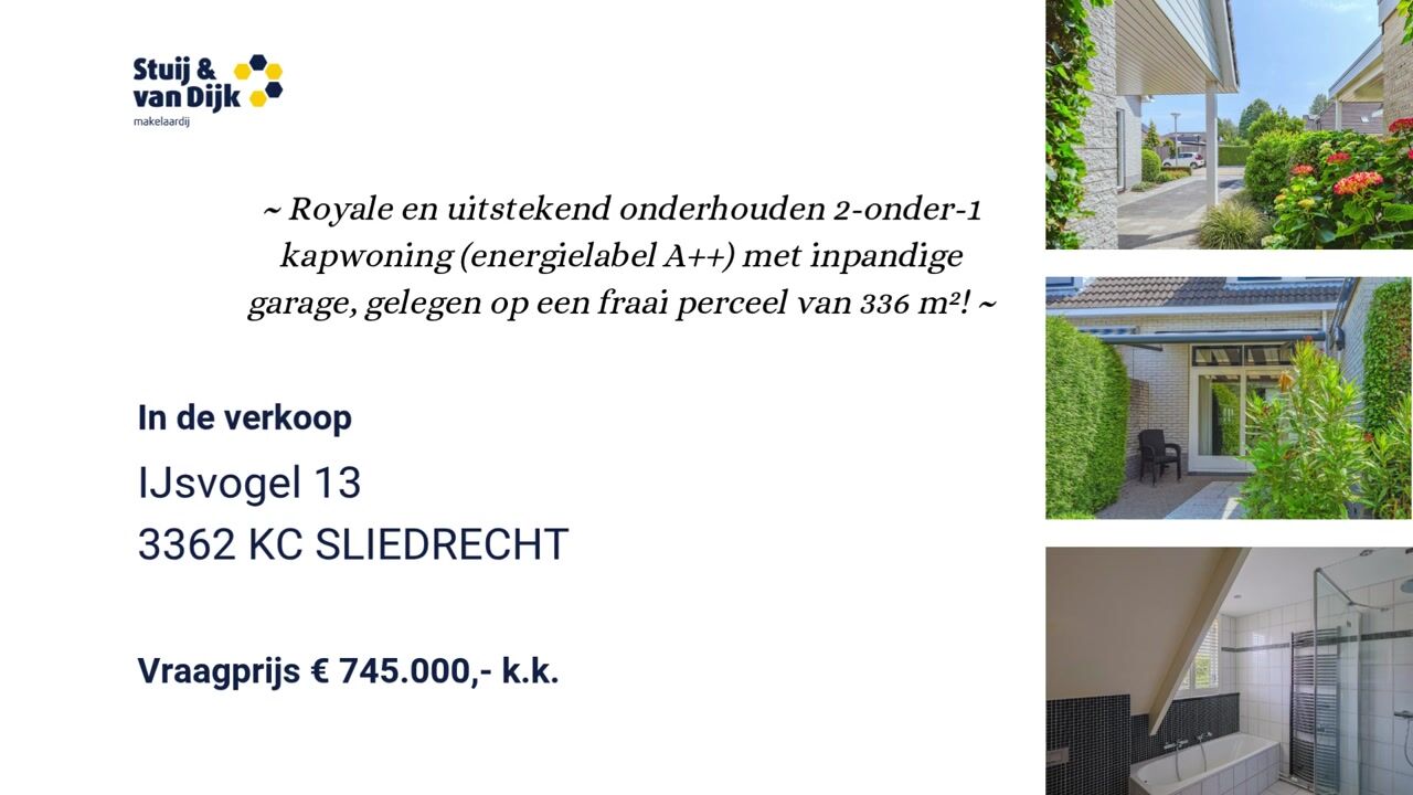 Video van IJsvogel 13