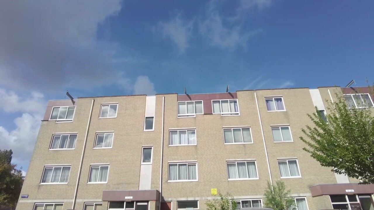 Video van Volharding 42
