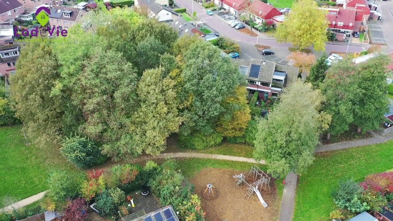 Video of De Landauer 30