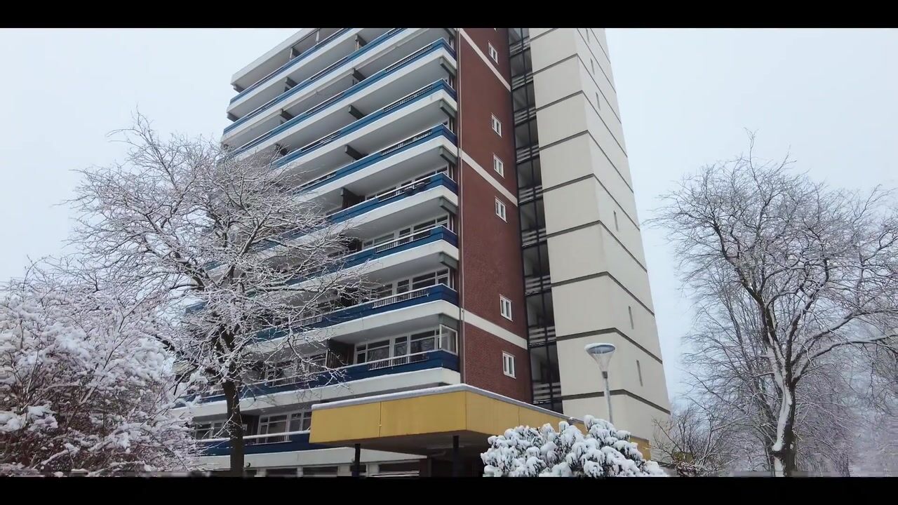 Video of Scheerling 201