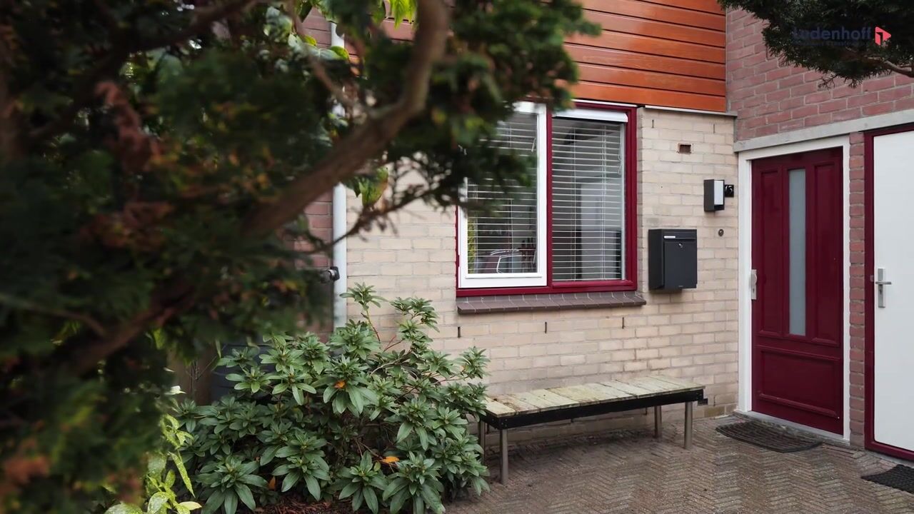 Video of Havanadreef 13