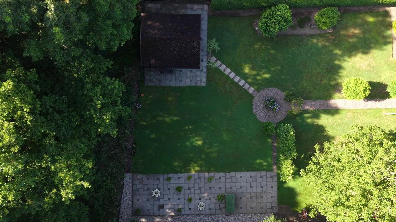 Video van Koekoeksbloem 20