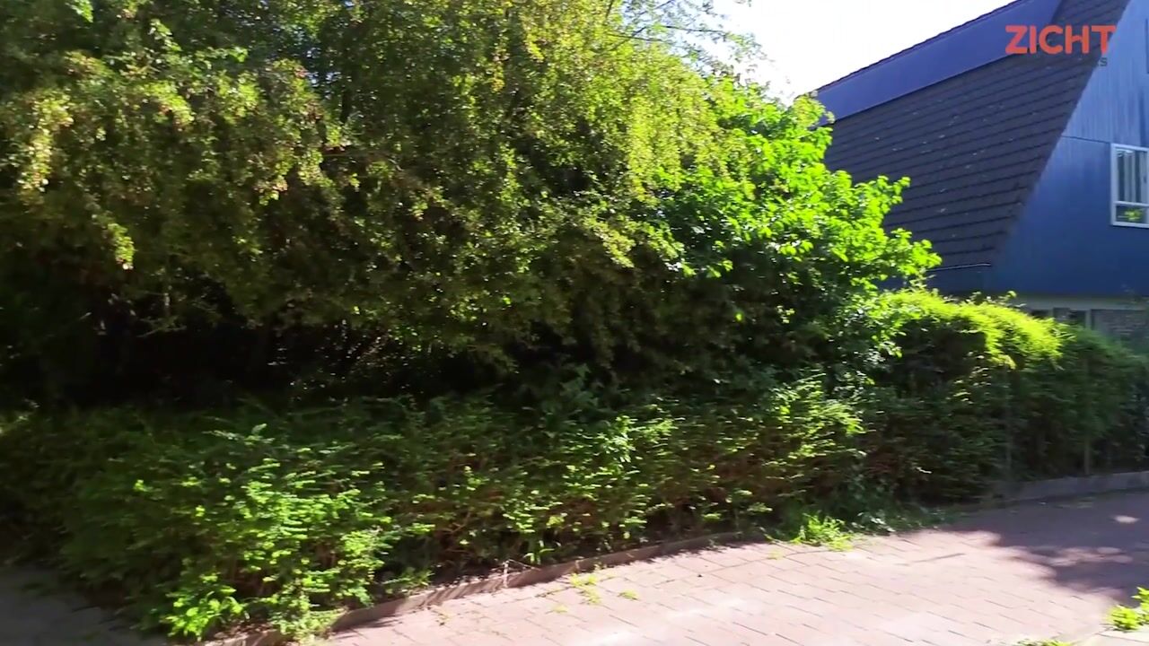 Video van Kwikstaartlaan 36