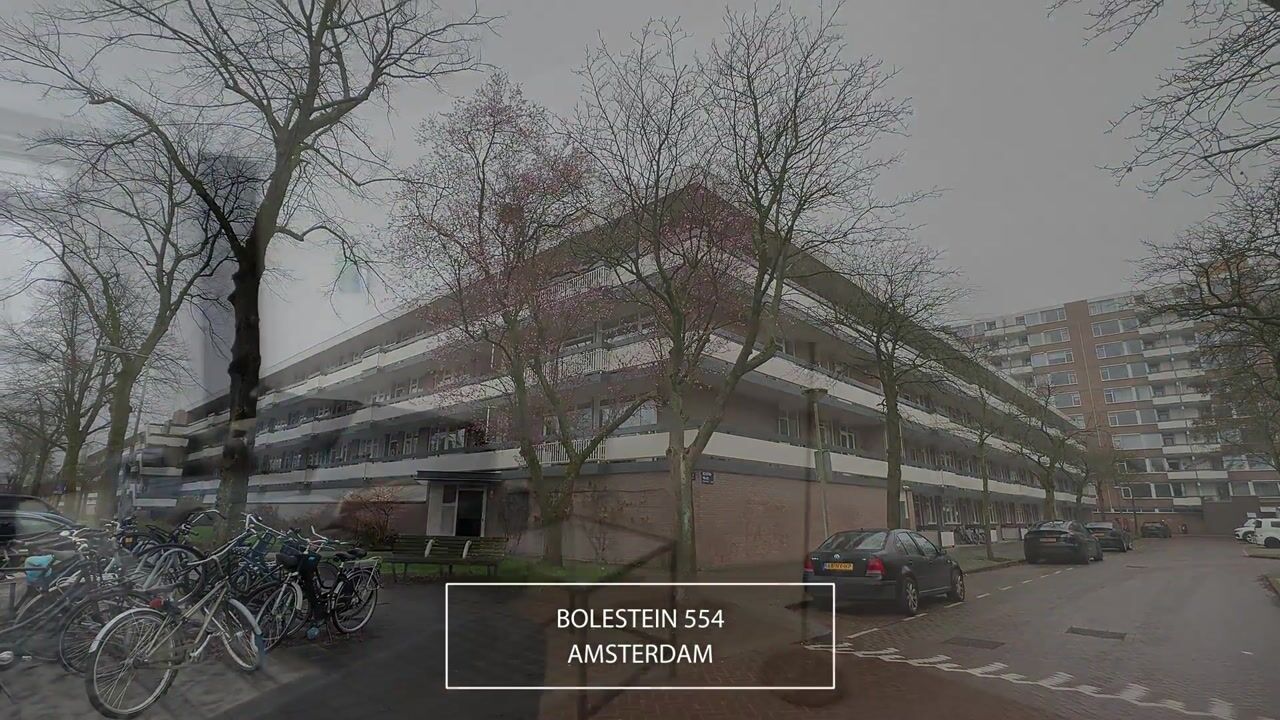 Video van Bolestein 554
