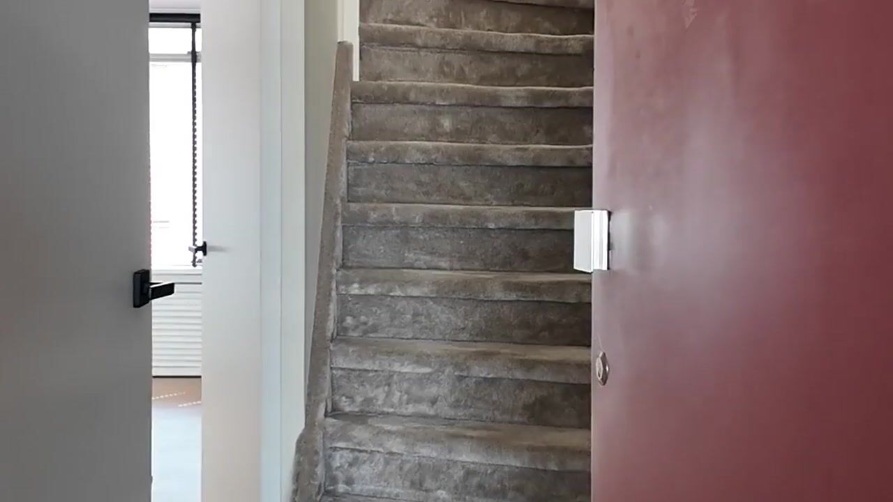 Video of Rosmolensteeg 76