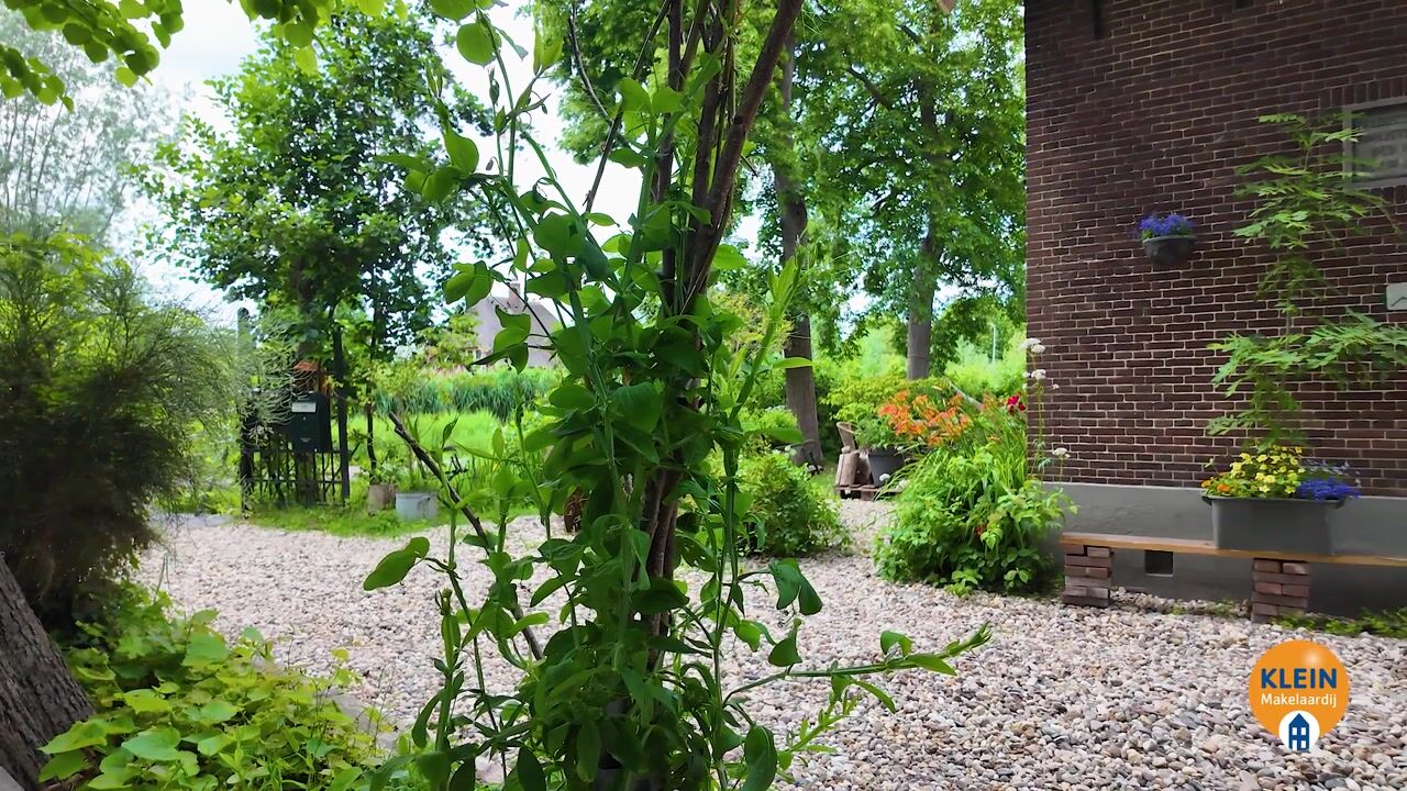 Video van Bloemendaalseweg 48