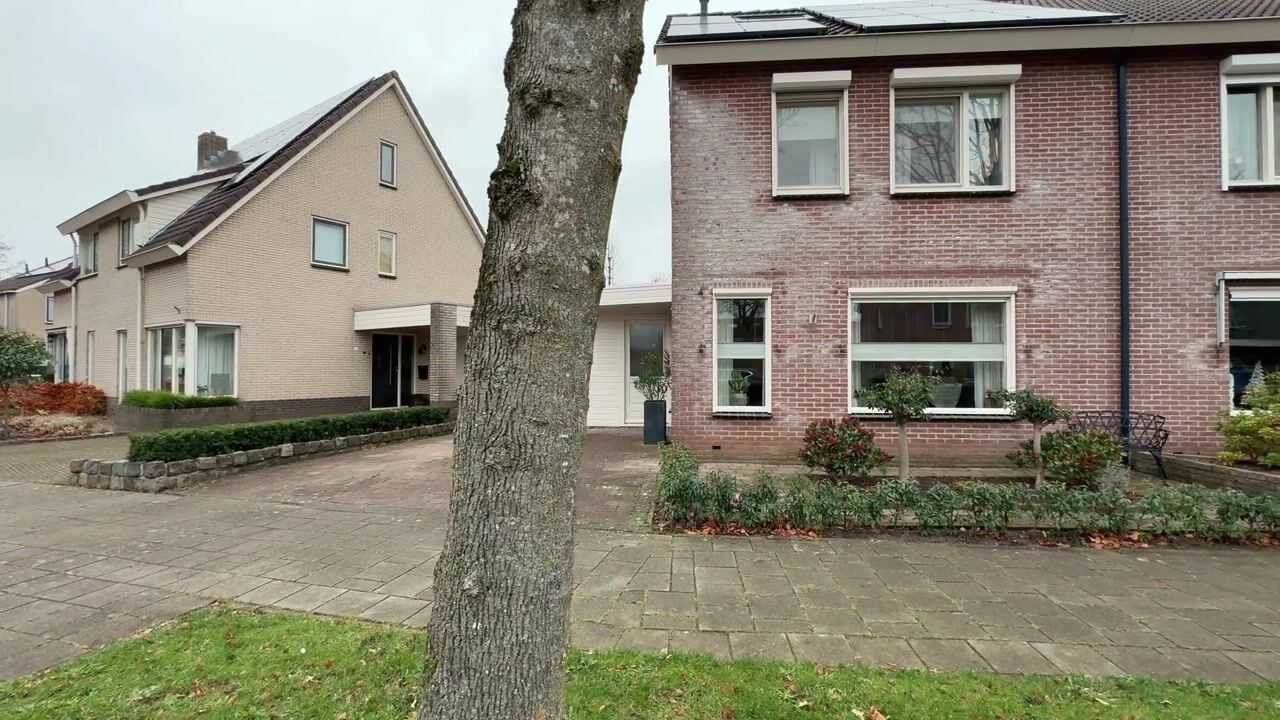 Video van Koolmees 38