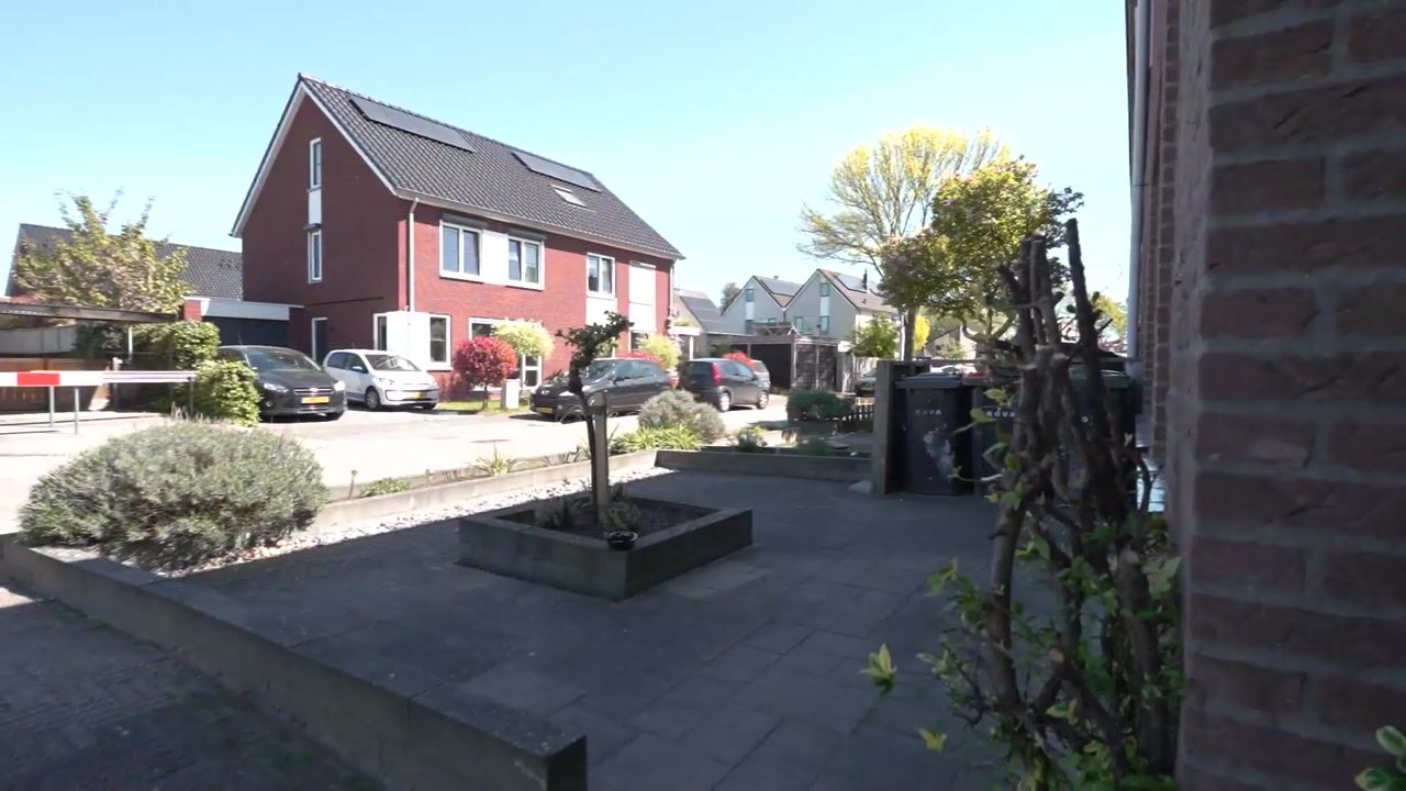 Video of Fonteinkruid 11-A