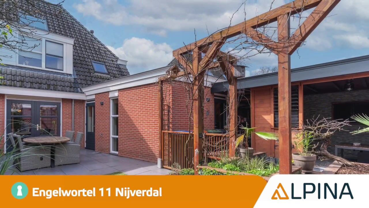 Video of Engelwortel 11