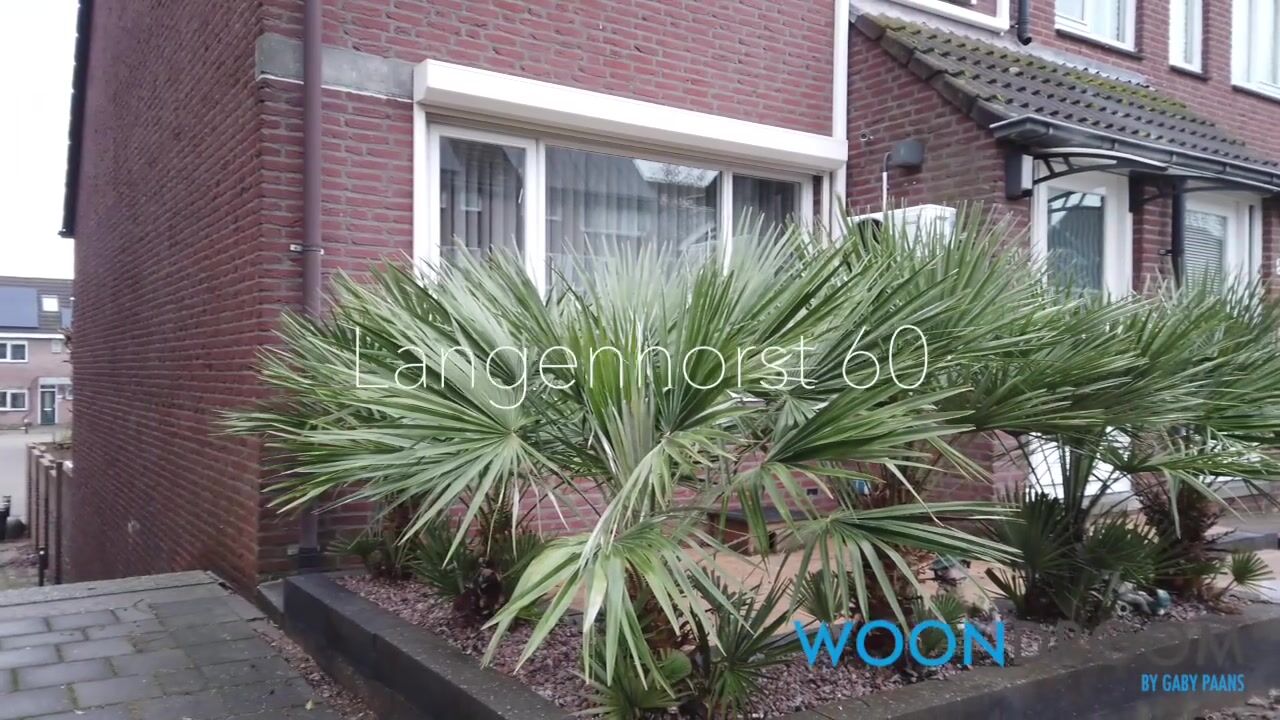 Video van Langenhorst 60