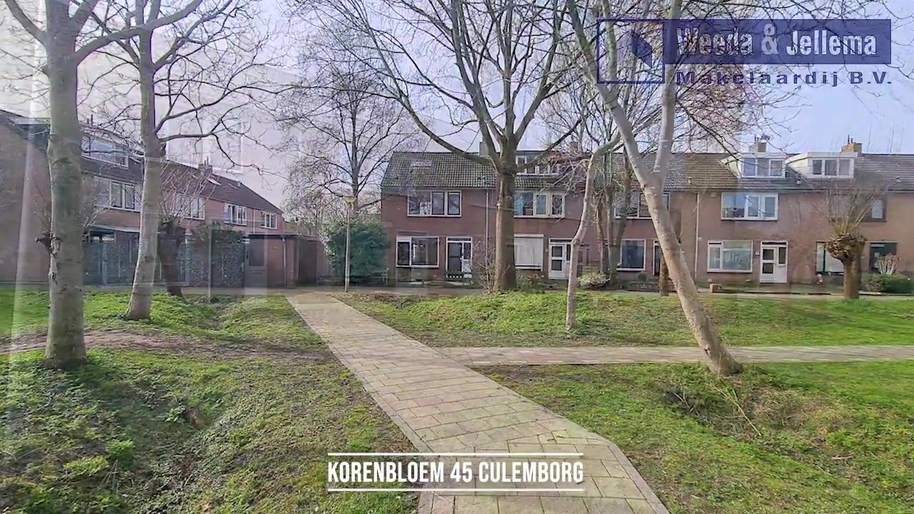 Video van Korenbloem 45