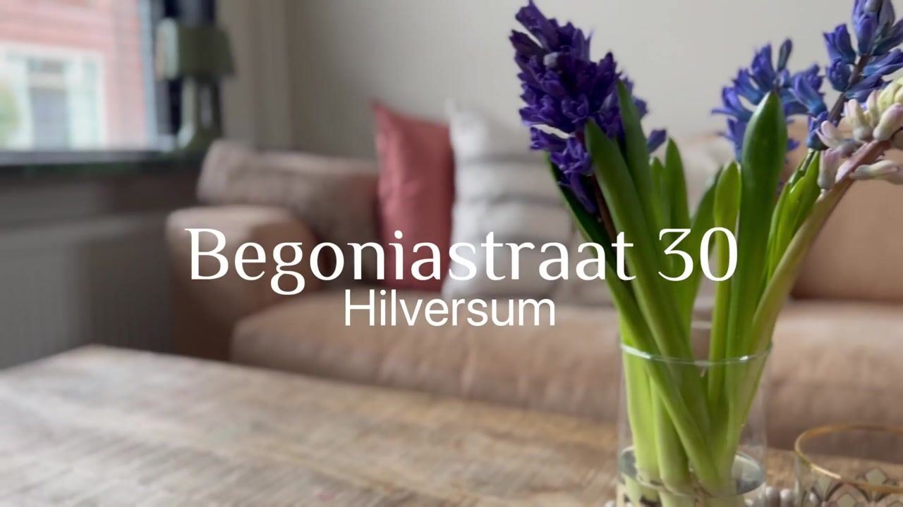 Video van Begoniastraat 30