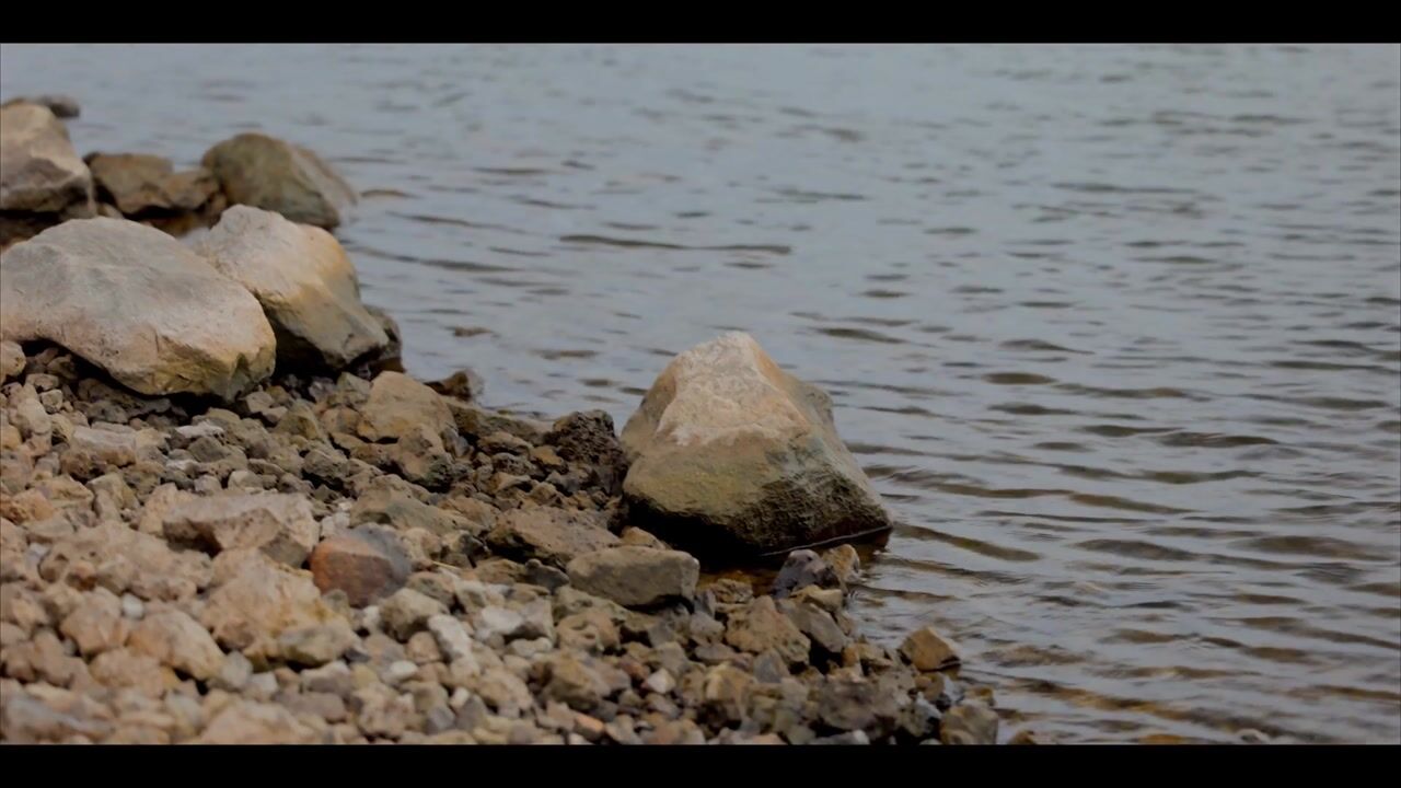 Video van Fortmonderweg 37