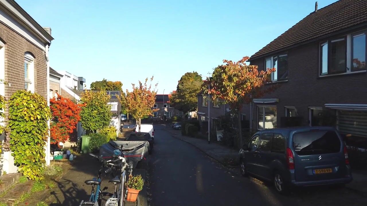 Video van Palmstraat 40