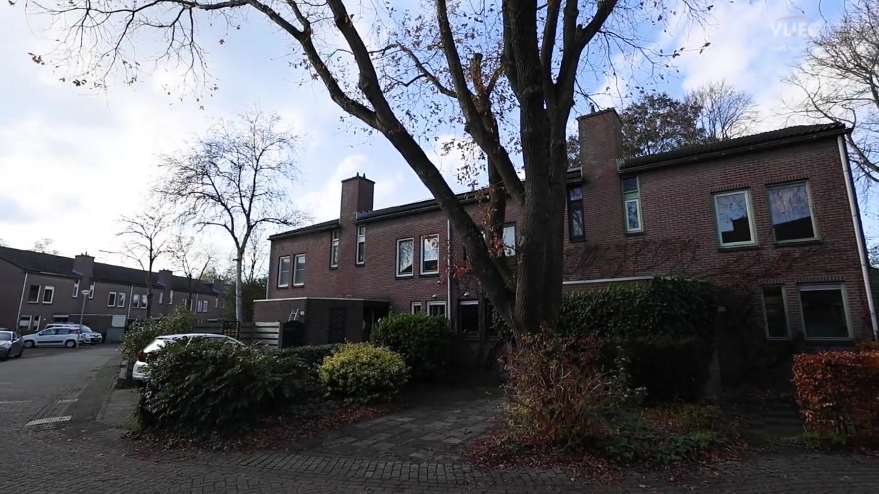 Video van Rijperwaard 220