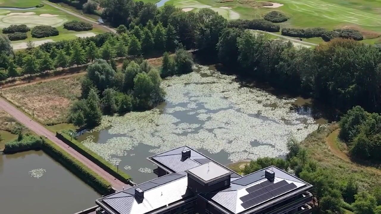 Video van Spijkse Kweldijk 41-D1
