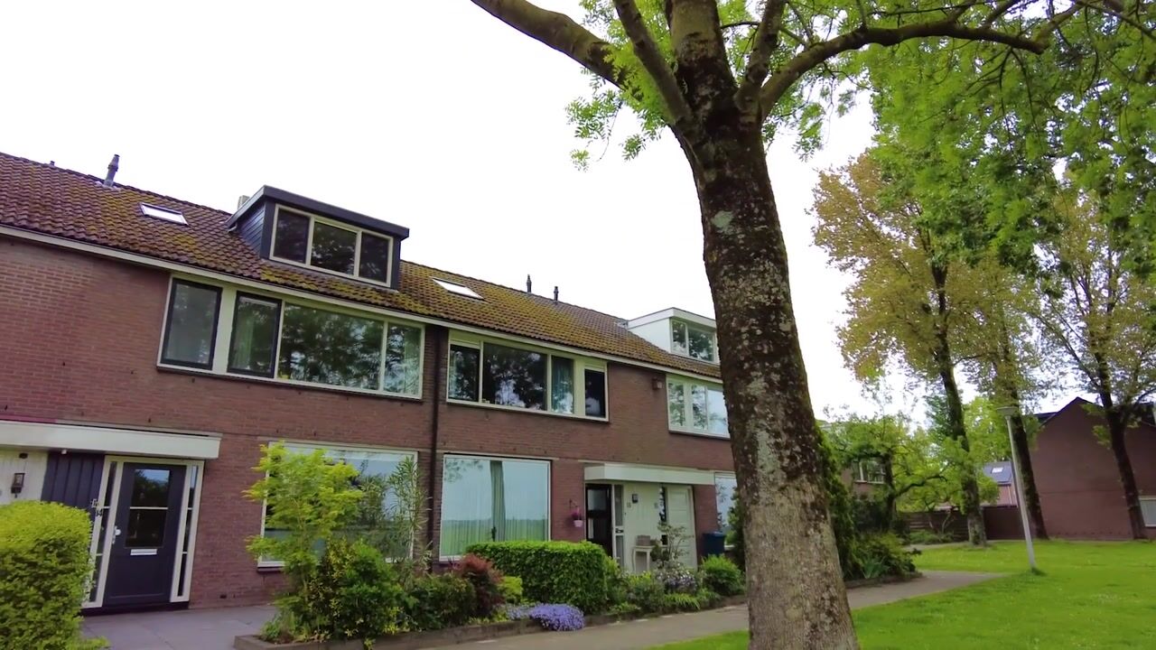 Video van Omloop West 14