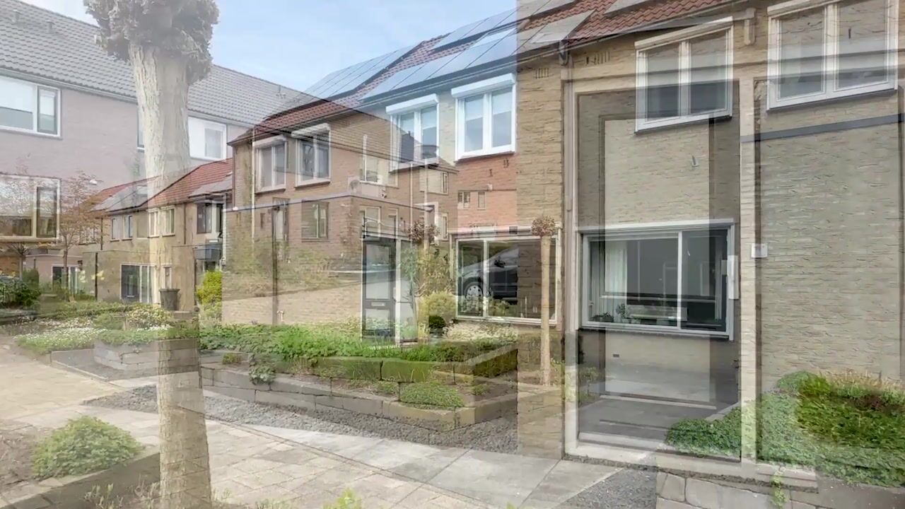 Video van Zevenblad 21